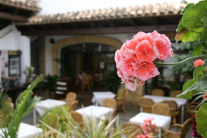 Hostal Torre De Guzman Конил-де-ла-Фронтера Екстериор снимка