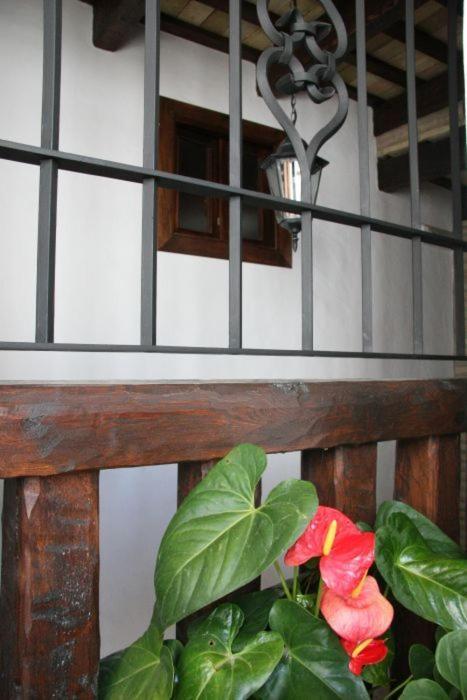 Hostal Torre De Guzman Конил-де-ла-Фронтера Екстериор снимка
