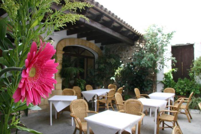 Hostal Torre De Guzman Конил-де-ла-Фронтера Екстериор снимка